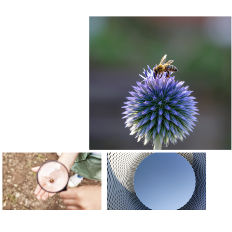 Vienna Research Groups for Young Investigators 2022 zum Thema Environmental...