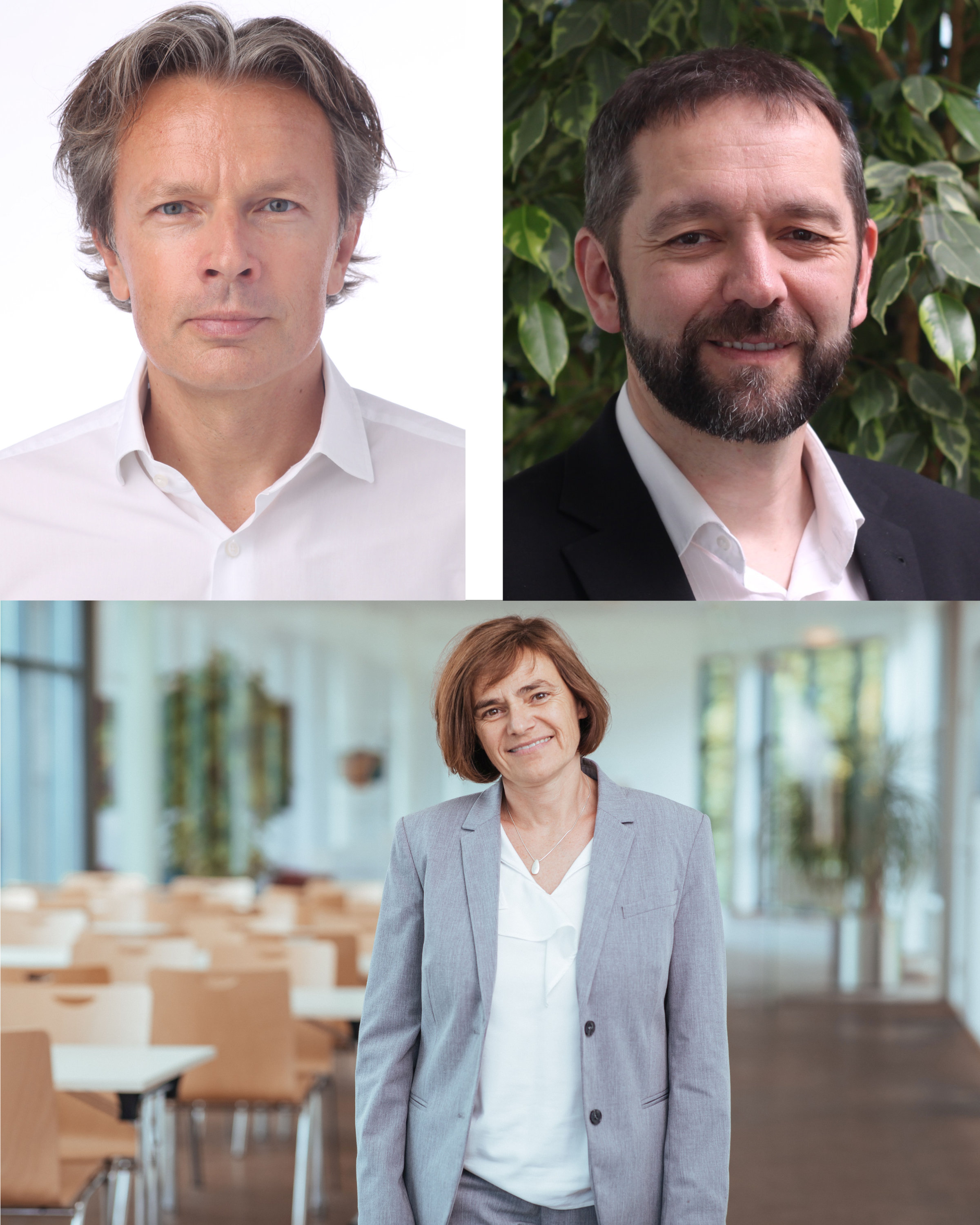 Arno Scharl Ivo Ponocny links oben: Arno Scharl ©Franz Pflüg, unten: Sabine...